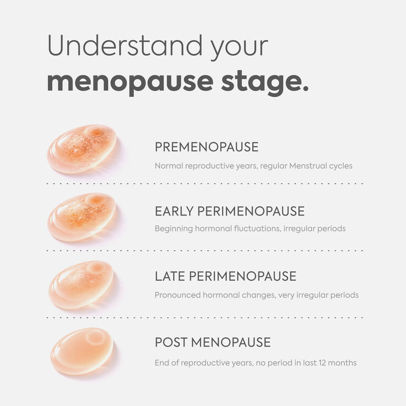 Diagnox Health Menopause Test, At-Home FSH Test Strips to Identify Menopause Stages - Fast 5-Minute Results, Clinical-Grade Midstream Strips (2 Pack) 2 Pack
