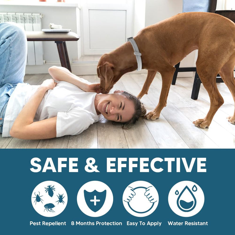Flea & Tick Collar for Dogs, Flea Collar for Dog, Dog Collar for Large Dogs, Adjustable Dog Ticks Fleas Collars, 8 Months Prevention, Waterproof, Adjustable, 2-Pack - BeesActive Australia