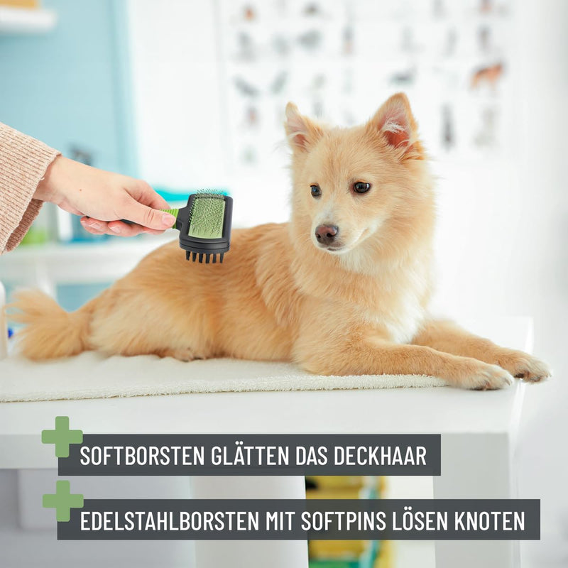 ReaVET Slicker Brush 2in1 - Dog Brush, Cat Brush with Long Hair - Fur Brush for Dogs, Cats I Brush for Daily Grooming I Double-Sided Pet Brush with Gentle Bristles & Tines Slicker Brush 2in1 All Breeds - BeesActive Australia