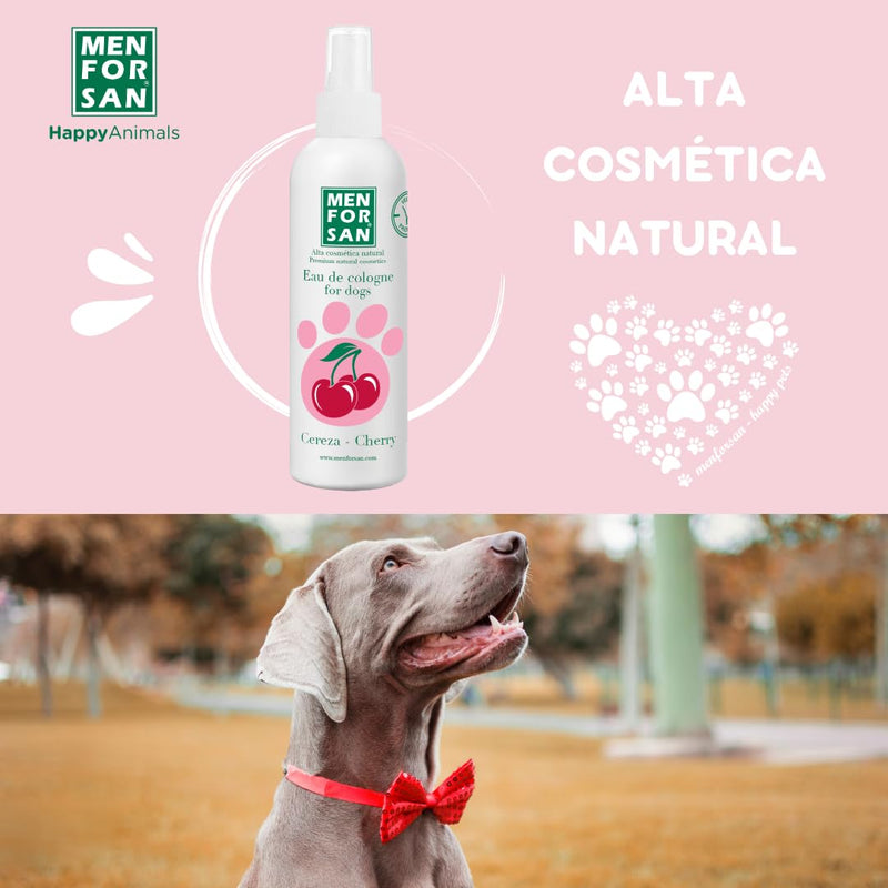 MENFORSAN Eau de Cologne for dogs | cherry | Intense and refreshing scent | Deodorizing effect | With very mild ingredients that do NOT irritate the skin | With neutral pH value | 125 ml 125 ml (pack of 1) - BeesActive Australia