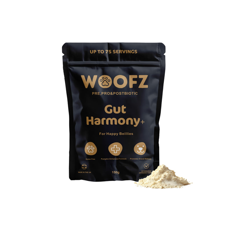 Gut Harmony + Dog Digestive Supplement Powder, Pre, Pro & Postbiotic, Pumpkin-Enhanced, Gluten-Free, 150g, up to 75 Servings