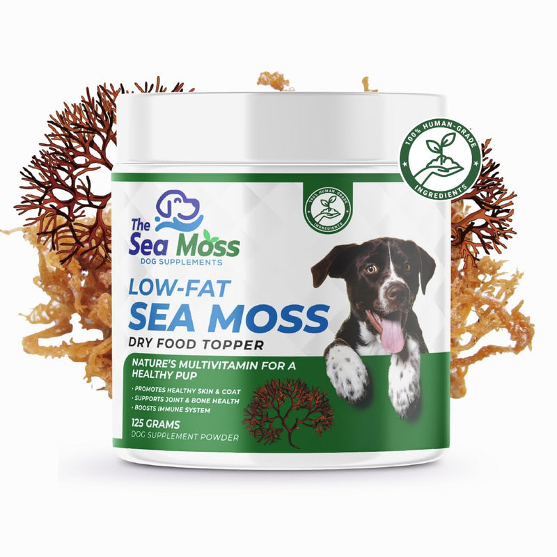 The Sea Moss Low-Fat Dog Supplement Powder, Dry Food Topper - Multivitamin Supports Skin, Coat, Joints, Digestion & Immune Health - Vitamins & Minerals – All Breeds & Sizes - 125 Grams