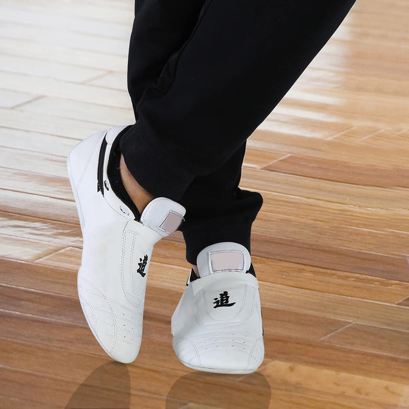 Dilwe Kong Fu Shoes, Reliable Taekwondo Shoes for Men and Women Children, White 37 M EU