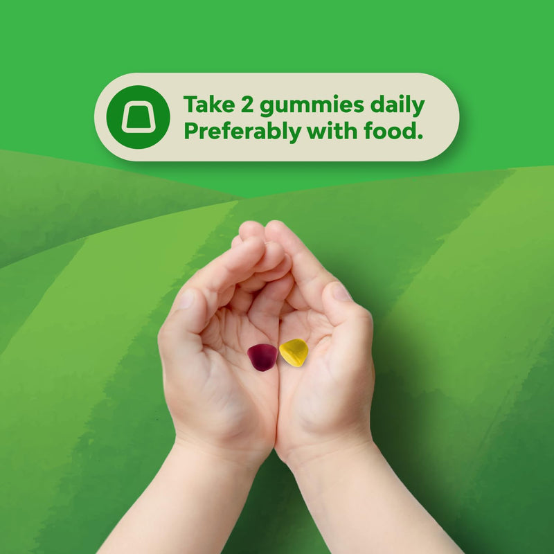 High Prebiotic Fiber Gummies for Kids - Dietary Fiber Supplements for Digestion & Constipation - Chicory Root Kids Immune Gummies - Non-GMO & Vegan Digestive Nutritional Supplements - 60 Count 60 Count (Pack of 1)