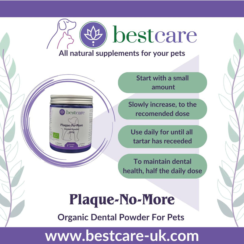 Plaque-No-More