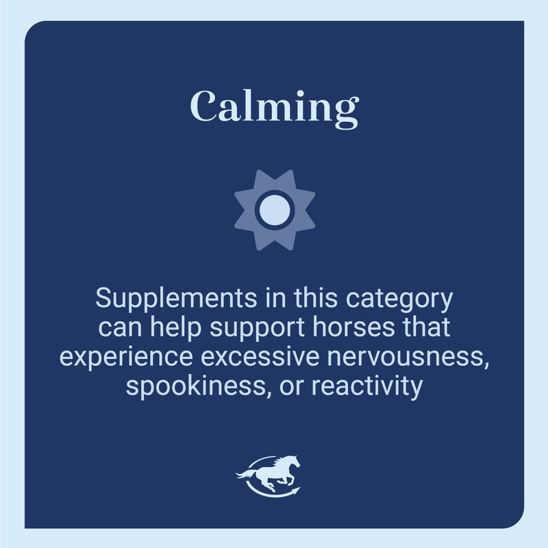 SmartEquine Smart & Simple Magnesium Horse Supplement | Supports Metabolism and Muscle Function | 154 Servings | 3 lb