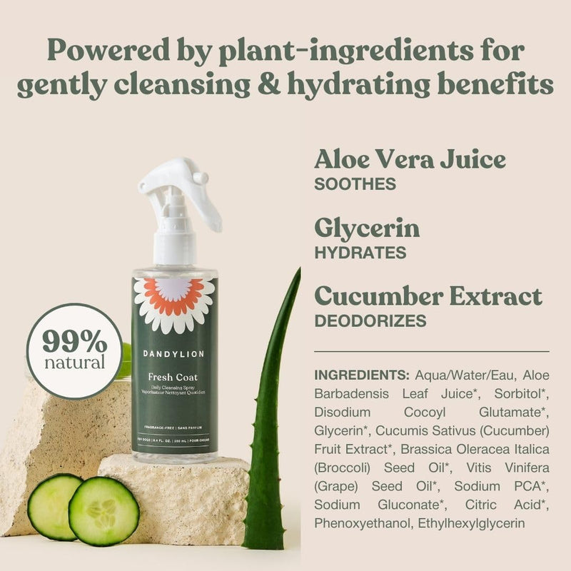 Dandylion Fresh Coat No-Rinse Dog Dry Shampoo Spray | Waterless Daily Cleansing Spray for Clean & Fresh Coat | Gentle Dry Shampoo for Dogs | Plant-Based, Fragrance Free & Vet Approved | 8.4 fl oz - PawsPlanet Australia