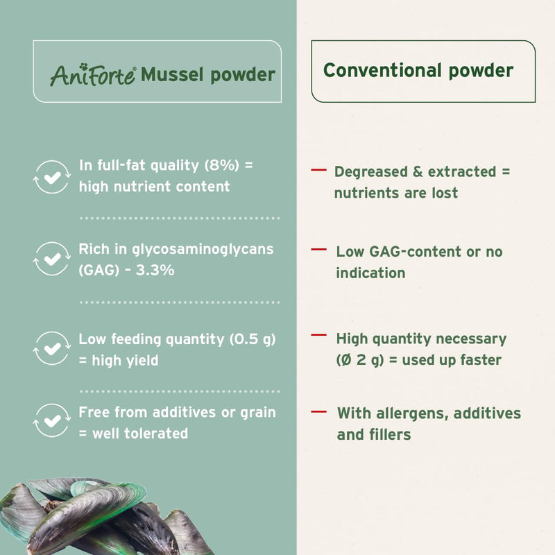 AniForte Green Lipped Mussel for Dogs and Cats 500g Powder - 100% Natural Joint Supplement with Glucosamine, Lipids, Omega-3 Fatty Acids, Minerals and Amino Acids