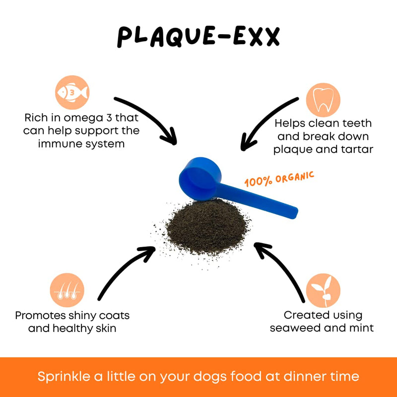PlaqueExx Plaque and Tartar Remover for Dogs and Cats - Takes Plaque Off Your Pets Teeth PLUS No More Bad Breath - Teeth & Gum Dental Care Formula With Added Mint Powder (400g) 400g