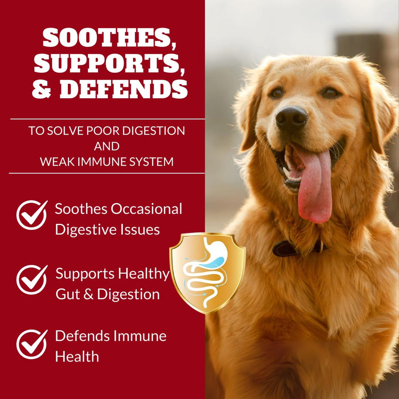 Probiotics for Dogs&Cats, Probiotic for Sensitive Stomach, Itchy Skin, Allergies, Immunity, Yeast Balance, Oral Problems-Dog Probiotic and Digestive Enzymes with Prebiotics-Reduce Diarrhea, Gas-120 Ct