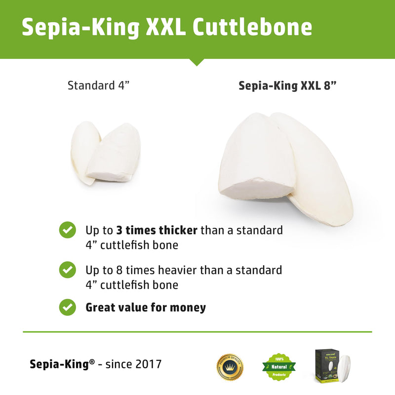 Extra Large - 100% Natural Calcium Supplement - Premium Cuttlebone Perfect for Birds, Tortoises, Snails, Reptiles - Pack of 3 - BeesActive Australia