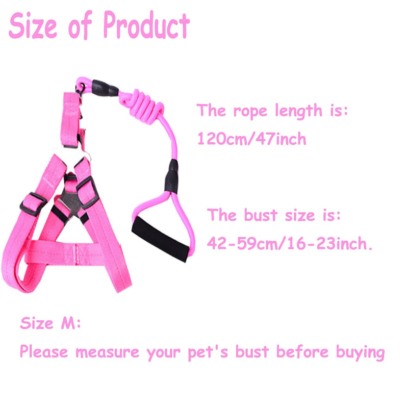 Animal Harness, Medium, Pink and Blue - 2 Pieces Adjustable Harness with Leash Set for Small Pig, Dog, Rabbit Walking, Running and Playing - BeesActive Australia