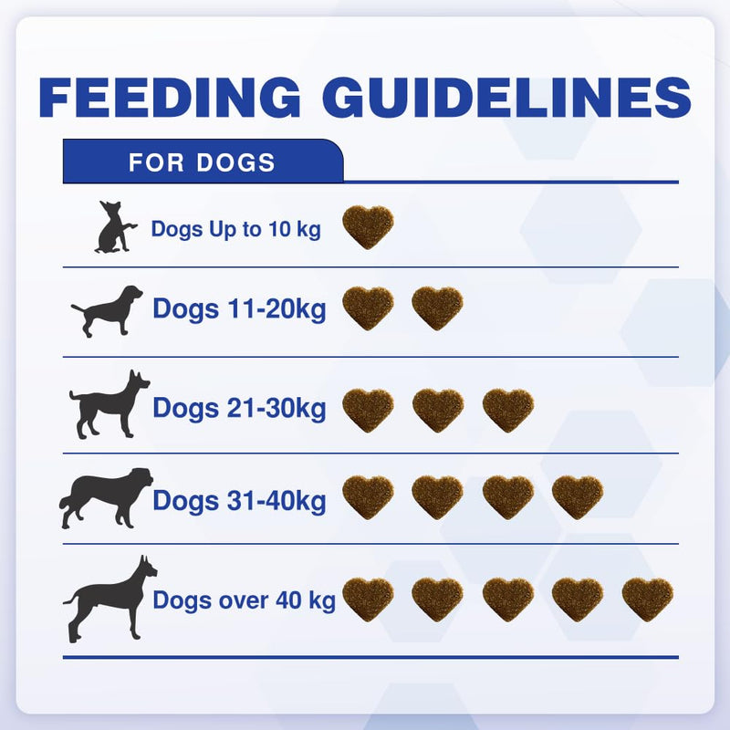 DigestiFibra Chews for Dogs - Probiotic & Prebiotic Soft Treats for Gut Health, Anal Gland Support, Digestion & Scooting Relief - 60 dog treats 60 Count