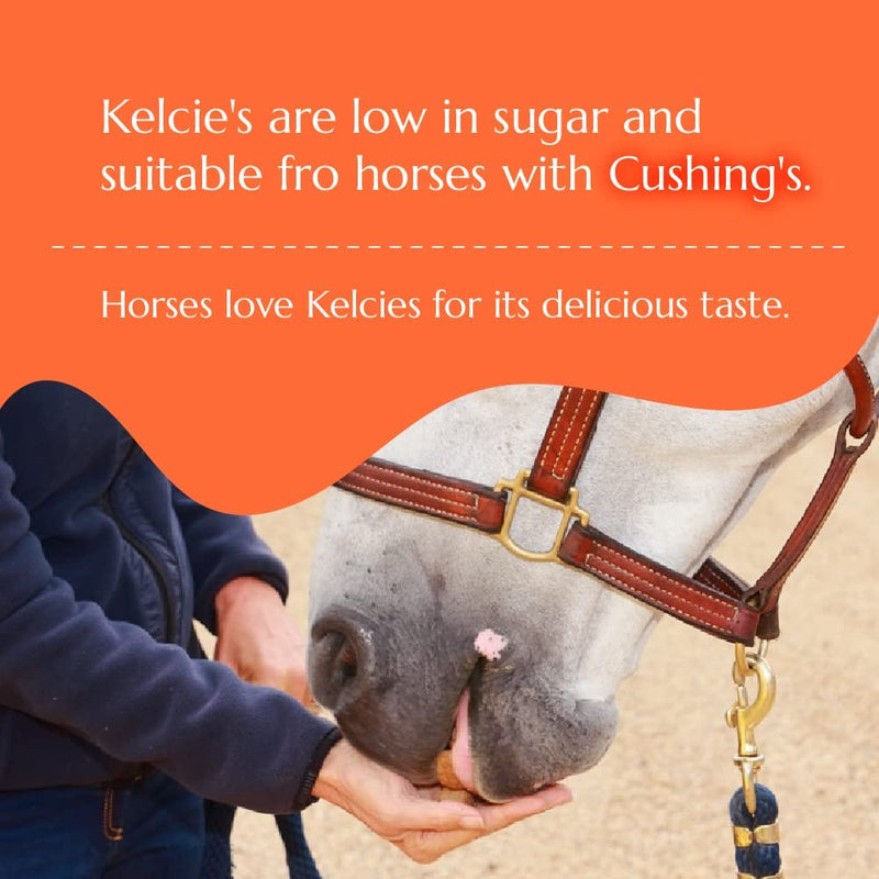 Horse Treats for Training and Bonding - Made with All-Natural Flavors, Horse Treats Low Sugar Delights of Pure Flavor and Health, Suitable for Horses with Cushing's, 8oz Bag 8 Ounce (Pack of 1) - BeesActive Australia