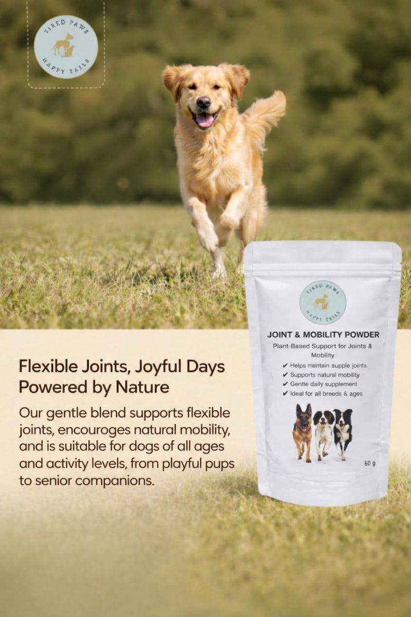 TPHT Dog Joint Supplement – Hip & Joint Supplement for Dogs – Joint Supplements for Dogs with Stiff Joints – Daily Joint Care for Dogs – Mobility Support for Older Dogs – 60g
