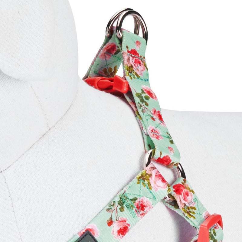 Blueberry Pet 9 Patterns Step-in Spring Scent Inspired Floral Rose Print Turquoise Dog Harness, Chest Girth 20" - 26", Medium, Adjustable Harnesses for Dogs (20" -26") Chest Girth (Pack of 1) - BeesActive Australia