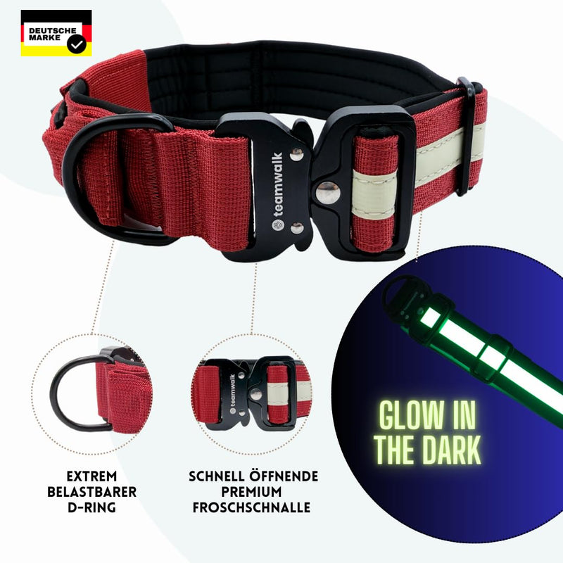 teamwalk® Premium dog collar - with magnetic handle, light strips, air tag pocket, individually adjustable, soft padding, robust buckle, available with matching leash, NOW EVEN lighter (M) collar M (4cm) Bordeaux - BeesActive Australia