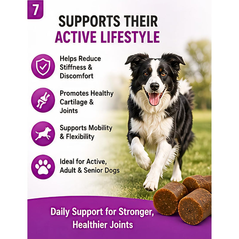 Hip & Joint Dog Chews – 6.3 oz (60 Soft Chews), Natural Beef Flavor, Glucosamine Chondroitin MSM, Collagen & Green Lipped Mussel for Joint Support, Mobility & Stiffness Relief