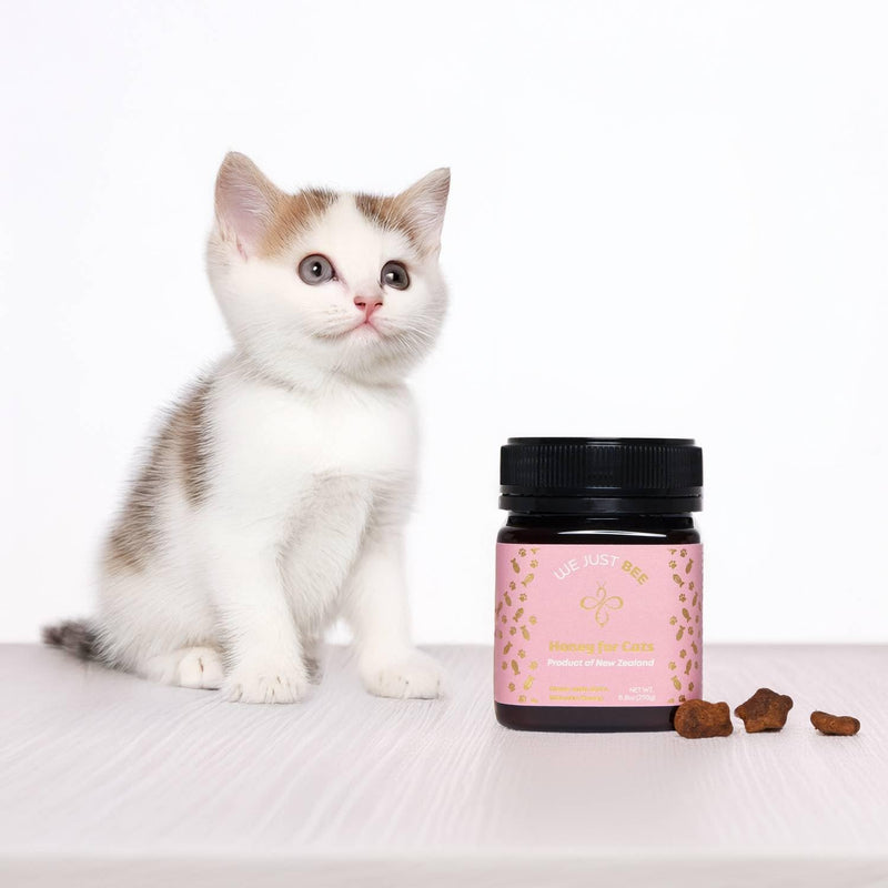 Manuka Honey for Cats MGO 400+ | Feline Wellness Cat Treat – Premium New Zealand Manuka Honey | Medical Grade Support for Cat Wound Care, Skin & Immunity Health – 250g / 8.8oz