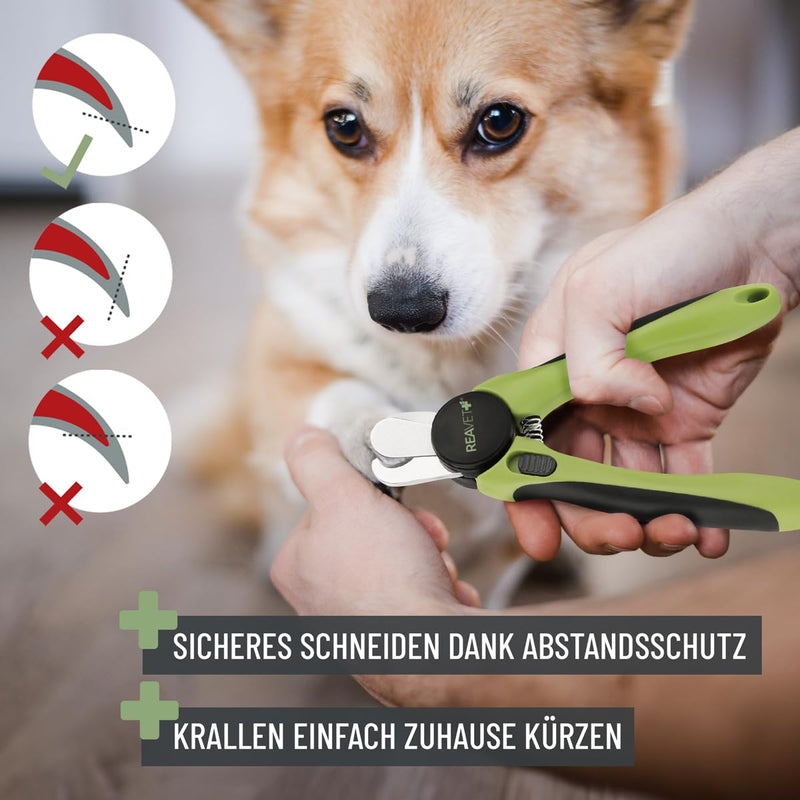 ReaVET claw scissors for dogs and cats - including claw file and spacer, stainless steel claw pliers for claw care, claw cutter, nail scissors, dog nail clippers - BeesActive Australia