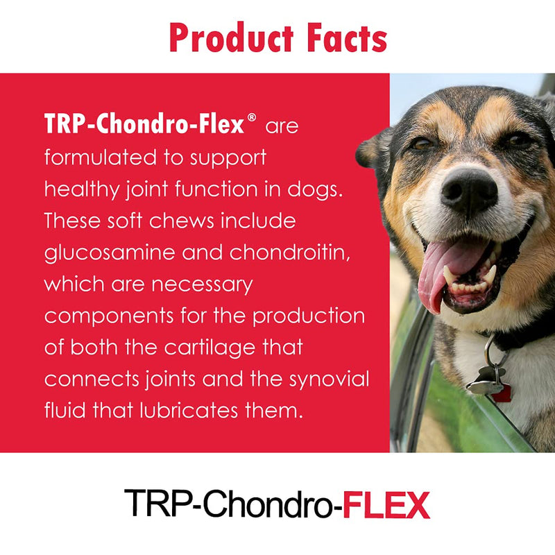 Chondro-Flex DS Joint Care Formula Soft Chews by Vitality Systems - BeesActive Australia