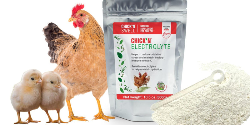 Chicken Electrolytes for Heat Stress & Dehydration – Poultry Electrolyte & Vitamin Supplement for Laying Hens and Chicks – Supports Hydration & Recovery – 10.5 oz, from Chick’N Swell.