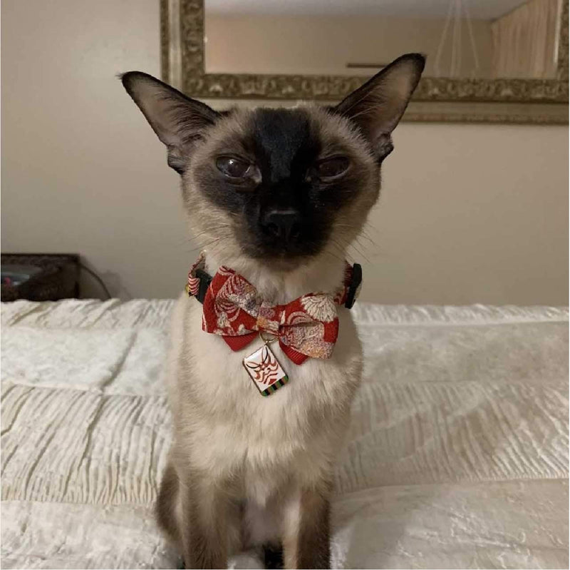 Necoichi Kabuki Charm Bow Tie Cat Collar (Red) Red - BeesActive Australia