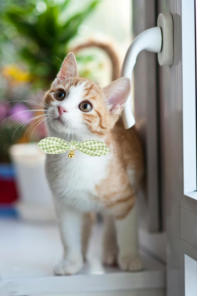 Bowtie Cat Collar with Bell, 2 Pack Cotton Breakaway Kitten Collars with Removeable Bow Stylish Cat Collars, Floral Green & Plaid 7.5-11.4 Inch (Pack of 2) Floral Green+Plaid - BeesActive Australia