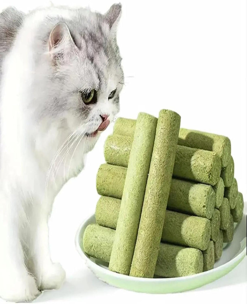 18PCS Cat Grass Sticks,Cats Grass Chew Sticks,Cat Teeth Cleaning Molar Rod for Cats Indoor,for Hairball Removal