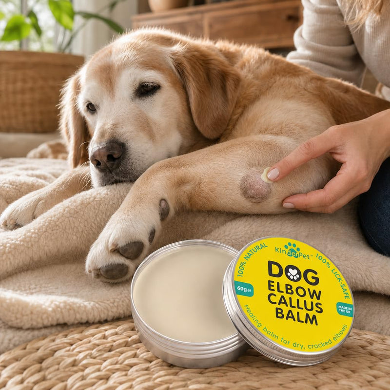 Dog Elbow Callus Balm Treatment Heal Soothe Moisturise Protect Cracked Dry Hard Damaged Rough Skin Lick-Safe 100% Organic All Natural Made in the UK 60g