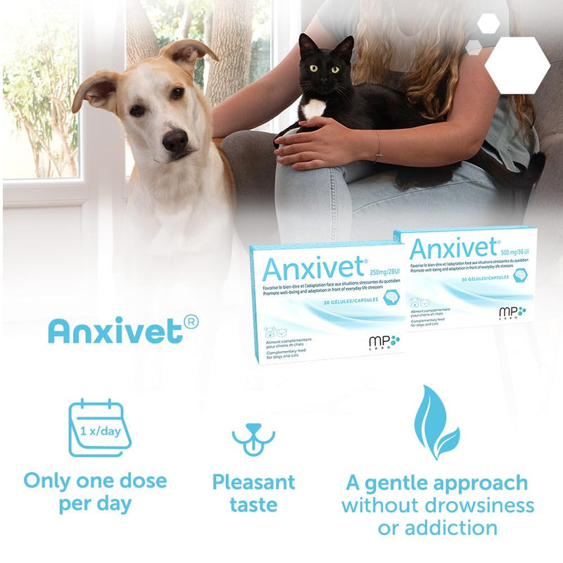 MP Labo Anxivet - Promotes Well-being and Adaptation to Stressful Daily Situations for Dogs and Cats (500 mg 56 IU 30 Capsules) 500 mg 56 IU 30 capsules