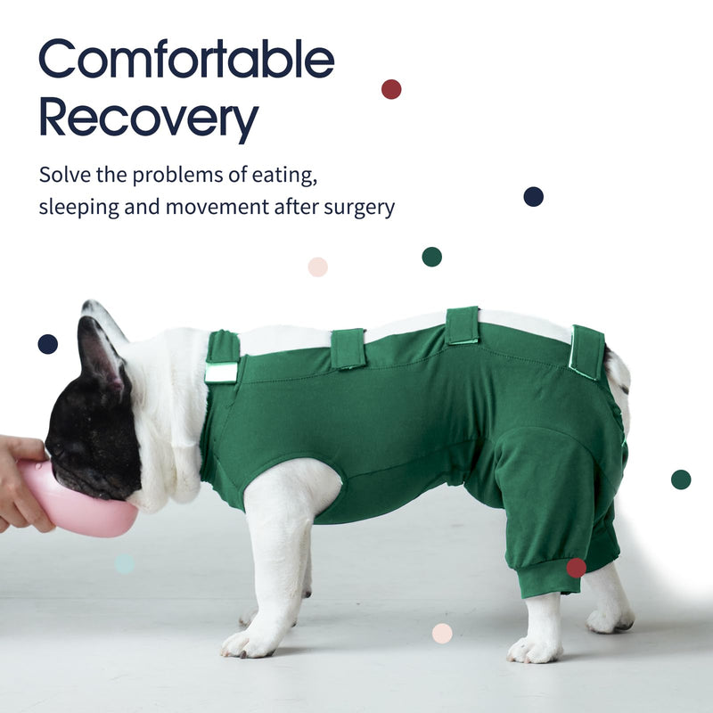 IECOii Dog bodysuit after castration male dogs, breathable bodysuit for dogs after surgery for surgical abdominal wounds and skin protection, e-collar alternative after dog body surgery, large-green large (chest: 22.8-27.2 in) green - BeesActive Australia