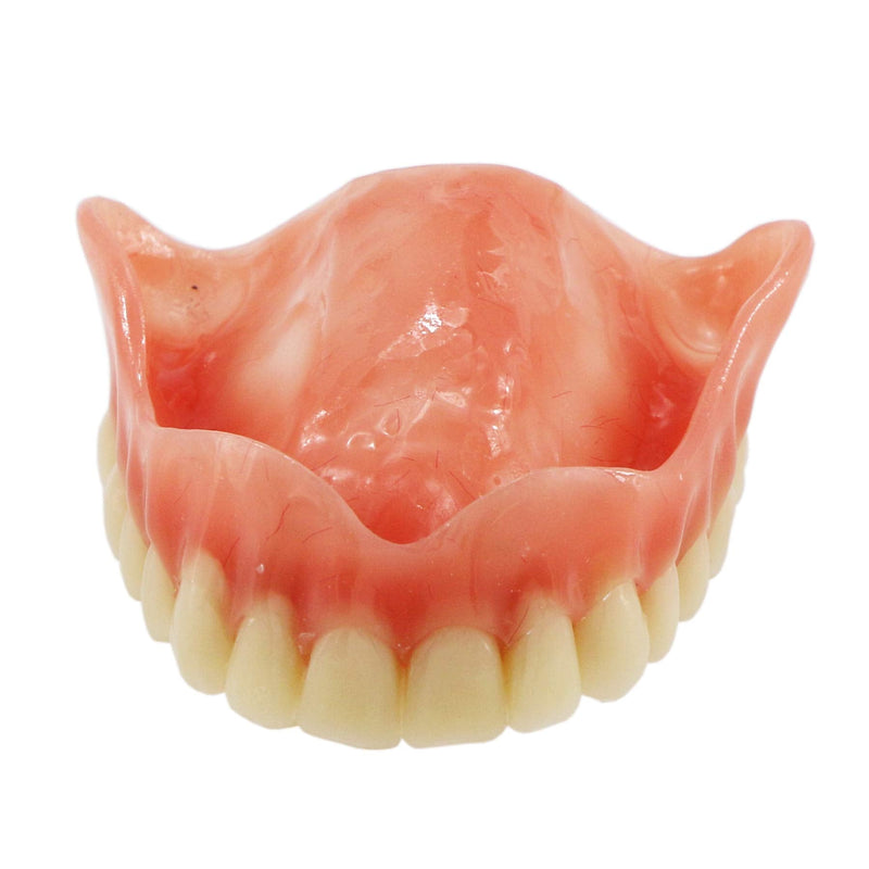 Dental Upper Implants Model Overdenture with 4 Superior Teeth Demo Transparent Vision for Education and Study Model Tool M6001 C