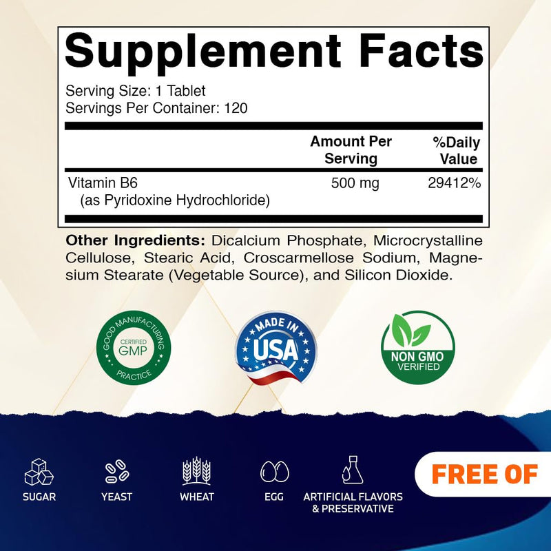 Vitamatic Vitamin B6 (Pyridoxine HCI), 500 mg – 120 Vegetarian Tablets Promotes Energy Production, Boosts Metabolism & Immune Health Support (Pack of 2) 120 Count (Pack of 2)