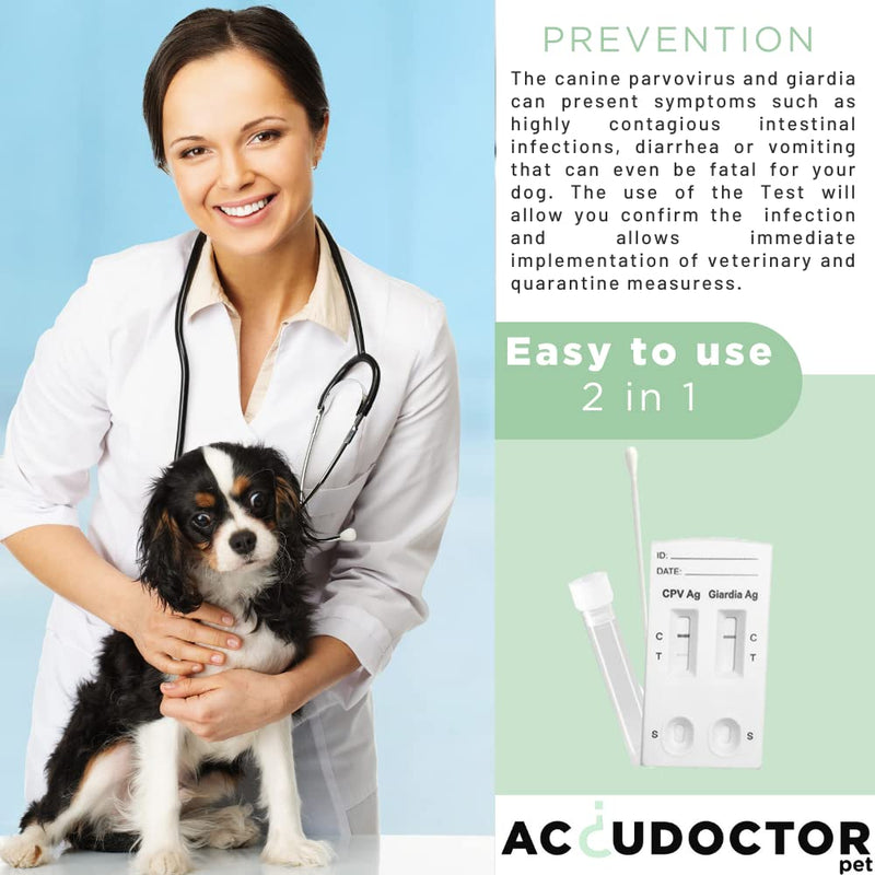 2 Accudoctor Giardia Rapid Test + Parvovirus Rapid Test CPV for Dogs Canine Parvovirus Parvoviruses Giardia Veterinary Health Giardia Rapid Test Parvovirus Dog Dog Worms Worm Diarrhea - BeesActive Australia