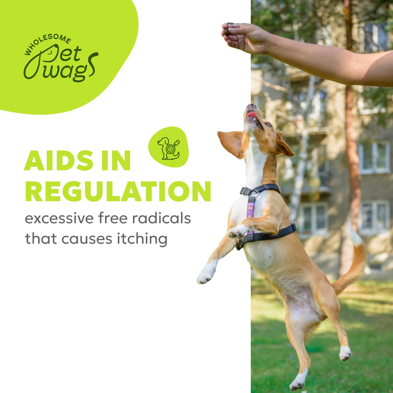 Canine Allergy Soft Chews | Dog Allergy Relief Supplements, Anti Itch Bites for Dogs, for Healthy Immune Response, for Itchy Skin, Probiotic Treats | 60 Chews, 180g, 6.35 oz - PawsPlanet Australia