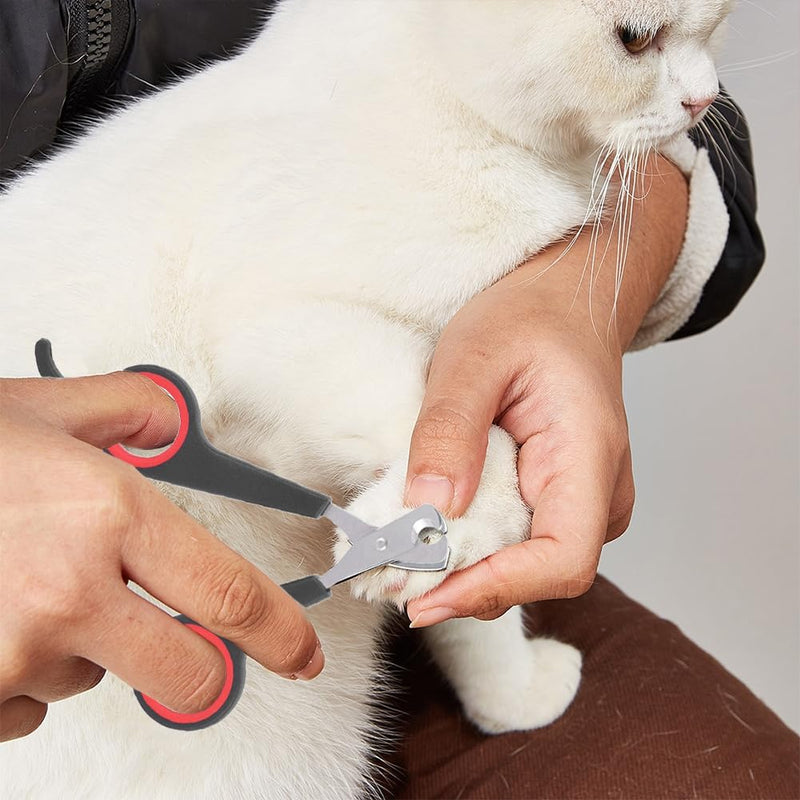 Parrot nail clippers, cat nail clippers, pet professional claw scissors, pet small animals, claw cutters, cat nail clippers, cat nail cutters, guinea pigs, birds, puppies, kittens, gerbils, rabbits - BeesActive Australia
