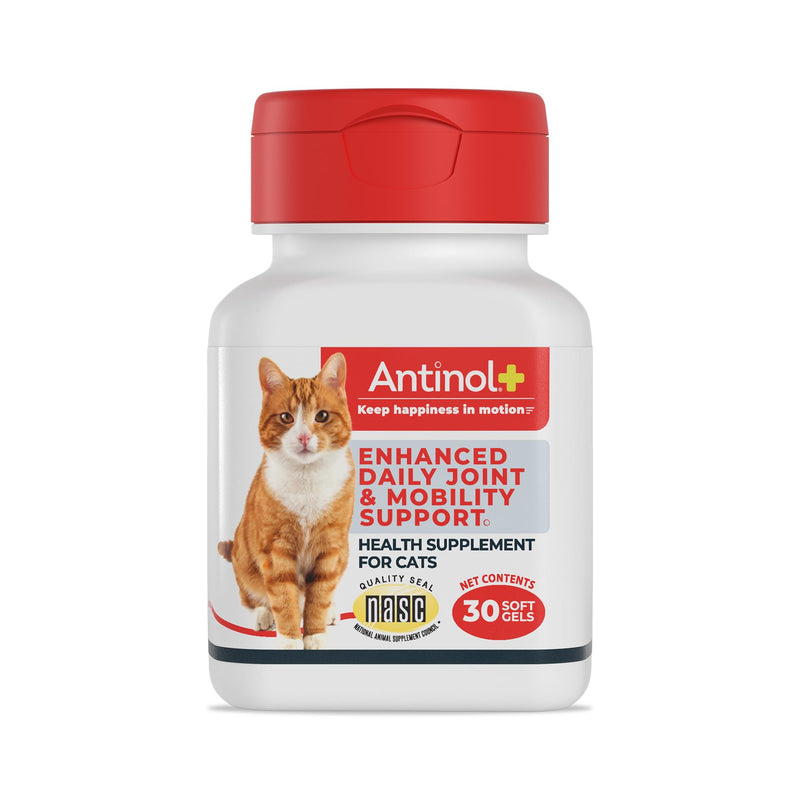 Antinol Plus, Mobility, Hip, and Joint Supplement for Cats, Green-Lipped Mussels and Krill Oil - Cat Joint Supplement, 30 Soft Gels 30 Count