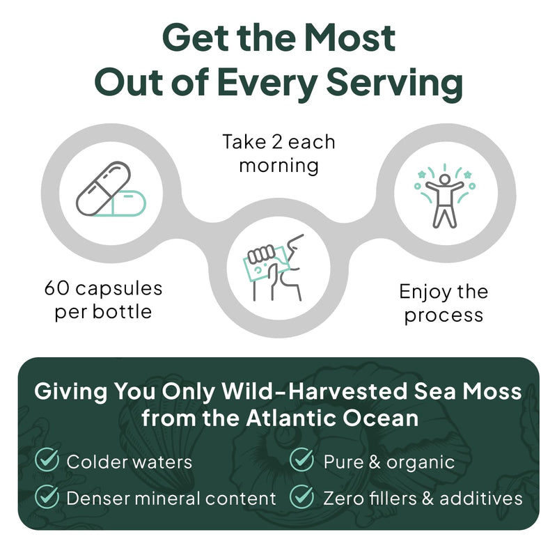 Organics Ocean Wild Sea Moss Capsules - 100% Organic Irish Sea Moss with Organic Chlorella, Bladderwrack and Vitamin D for Energy, Lung Health and Thyroid Support for Women and Men - 60 Capsules 60 Count (Pack of 1)