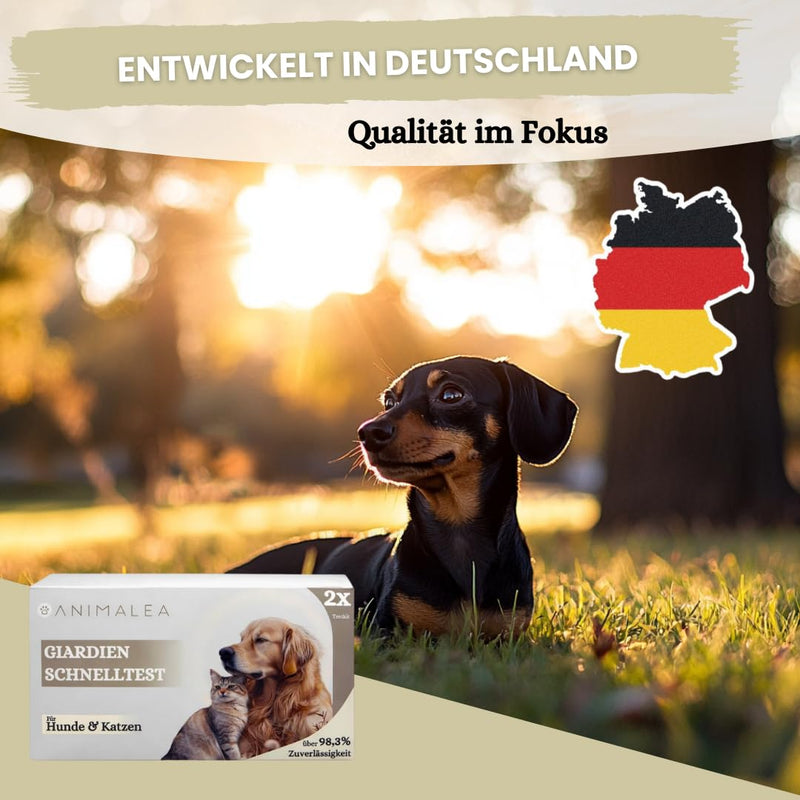Giardia Quick Test for Dogs and Cats, Giardia Test Reliable as Test for Intestinal Parasites and Diarrhoea, for Dogs and Cats, Pack of 2