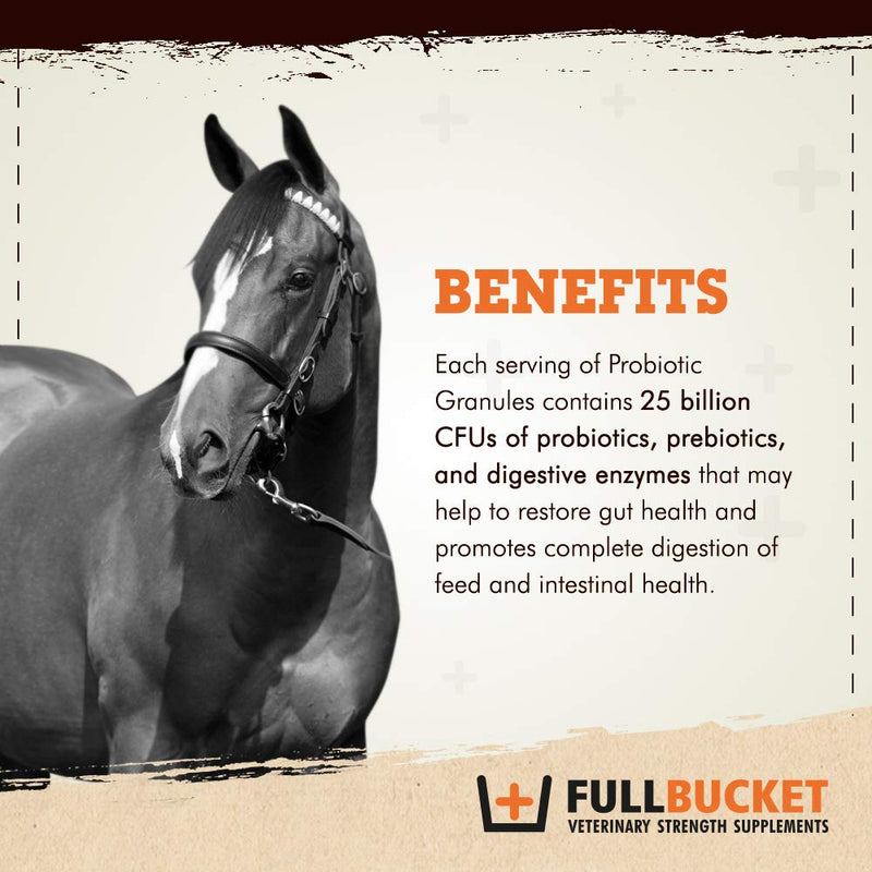 Equine Probiotic Granules with Saccharomyces boulardii for Daily Digestive Optimization; Concentrated Formula with 25 Billion CFUs - 30 Servings - BeesActive Australia