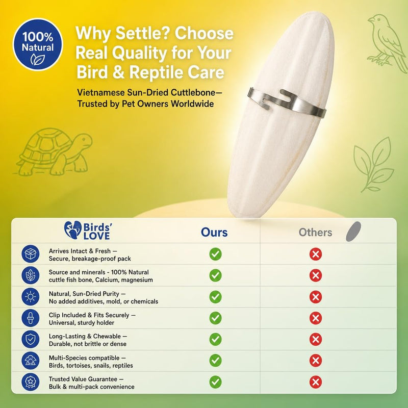 Birds LOVE 7.5-8" Cuttlebone for Birds – 100% Natural Sun-Dried Calcium Carbonate Mineral Supplement – for Parakeets, Budgies, Cockatiels, Finches & Canaries – 2 Pack with Holder – Made in Vietnam