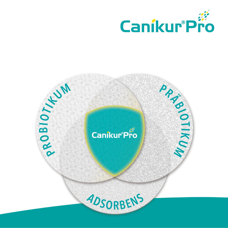 Canikur®Pro - to support the natural intestinal flora - dietary supplement for dogs and cats 60ml 60 ml (pack of 1) - BeesActive Australia