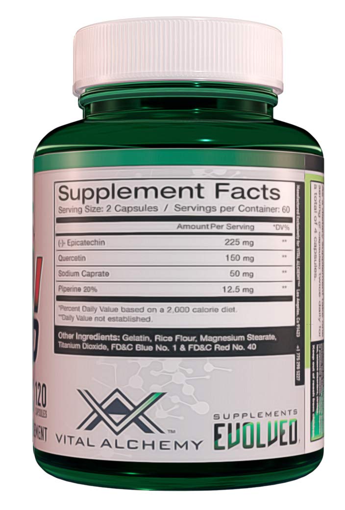 Epi 2.0 - Hard Lean Muscle Mass Gainer and Strength Booster from Vital Alchemy|Epicatechin with quercetin and Piperine for Better Mass Gainer and Joint Support - BeesActive Australia