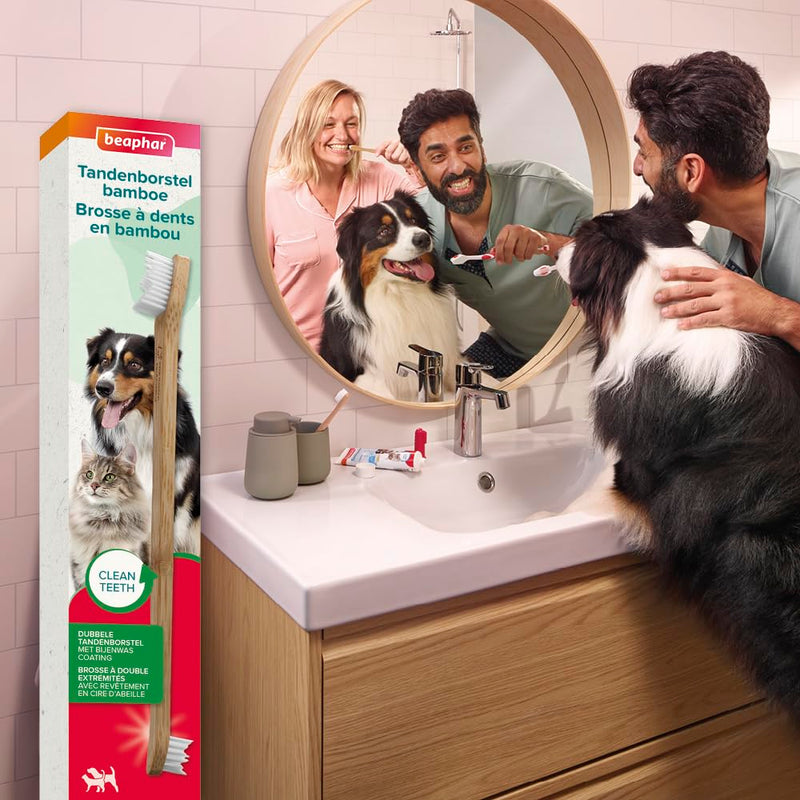 Beaphar Toothbrush Bamboo 1 piece - Double sided brush for dogs and cats