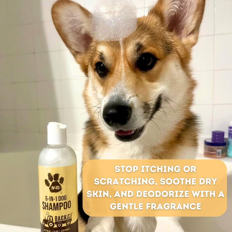 Natural Pet Shampoo - No. 40 Premium 6 in 1 Oatmeal Shampoo For Dogs -Moisturize, Deodorize & Soothe Sensitive Skin for Itchy, Smelly Dogs - Coconut, Aloe & Almond Oil Dog Wash & Pet Care - BeesActive Australia