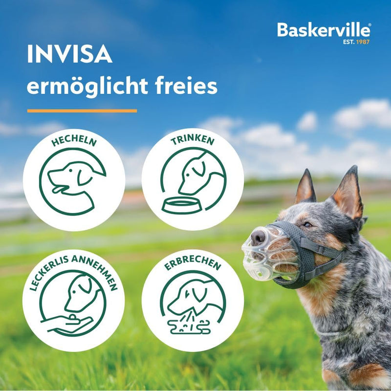 Baskerville INVISA Muzzle - Patented Dog Friendly Design, Dogs Can Pant/Drink, Adjustable Padded Muzzle for Medium Dogs, Prevents Biting and Groping (Size 3) Clear - BeesActive Australia