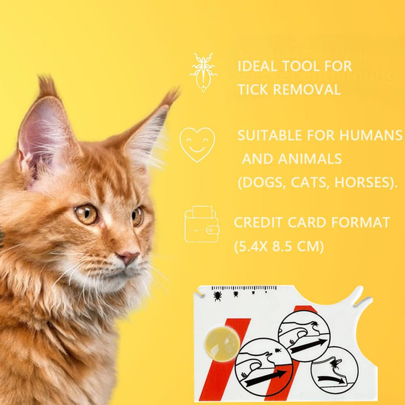 Tick card, tick scale card with magnifying glass, quick cleaning of ticks, tick card for people, children, dogs, cats - BeesActive Australia