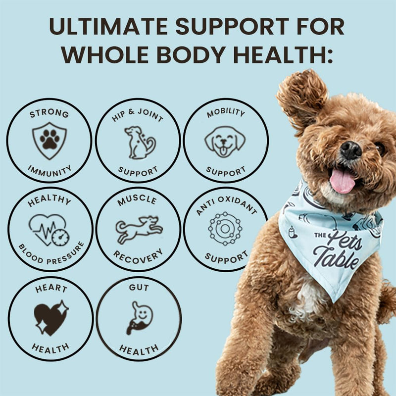 The Pets Table 8 in 1 Soft Chew Dog Vitamins, Chicken Flavored All in One Supplement for Dogs - Dog Multivitamin Supports Mobility, Gut & Heart, 50 Chews