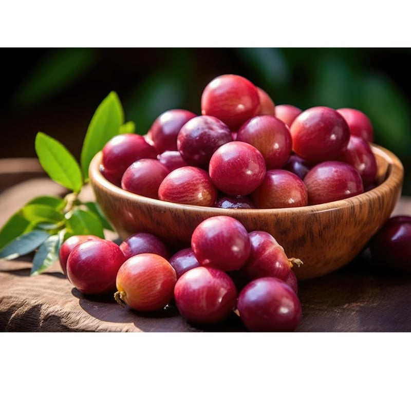 Camu Camu Capsules 500mg, high Vitamin C Content.